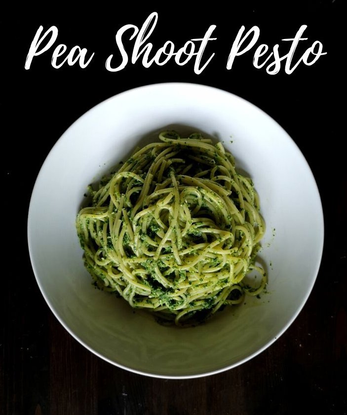 Pea Shoot Pesto